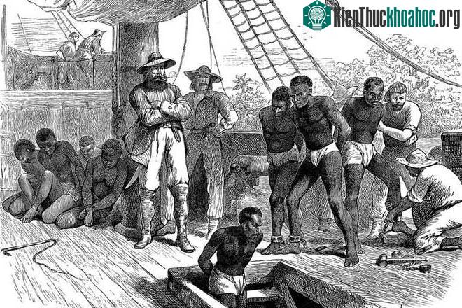 Có thể 3 những châu Phi này đã bị bắt cóc khỏi quê nhà.