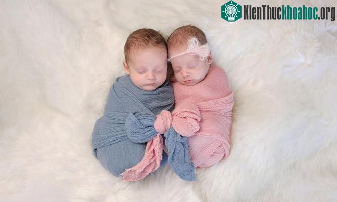 Cặp song sinh giống hệt nhau phát sinh từ một trứng duy nhất được thụ tinh, nhưng vô tình tách làm hai.