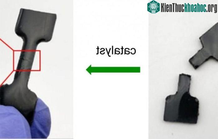 Loại cao su này có thể giúp giảm lượng khí thải carbon của ngành công nghiệp lốp xe.