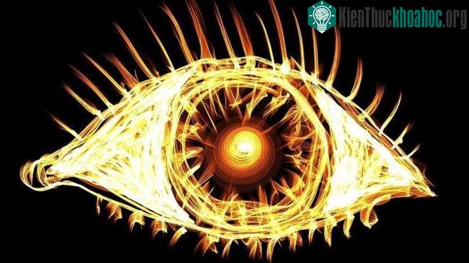 Nghiên cứu mới giúp khôi phục một phần thị lực cho người khiếm thị.