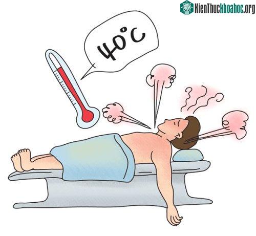 Tăng thân nhiệt là hệ quả của sự mất cân bằng giữa sinh nhiệt và thải nhiệt.