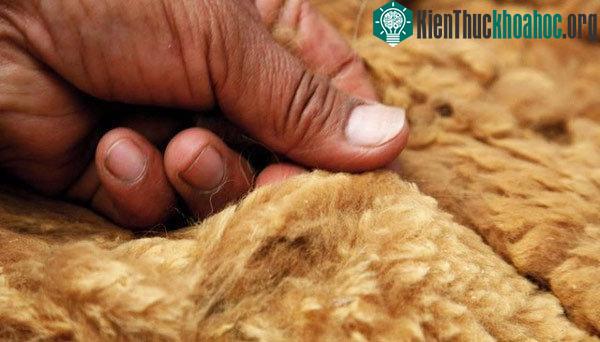 Top 7 loại vải đắt nhất thế giới, có loại làm từ vụn kim cương ảnh 0
