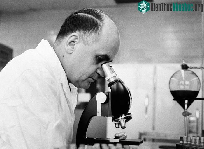 Hilleman là một ví dụ điển hình của sự cần cù chịu khó và những thành tựu đột phá, ngay cả khi hầu hết người Mỹ không biết tên ông. (Ảnh: AP).
