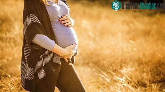 Khả năng sinh sản của phụ nữ thay đổi theo độ tuổi.