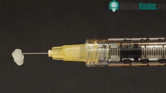 Đây là gel tiêm đặc biệt, được gia cố bằng sợi nano.