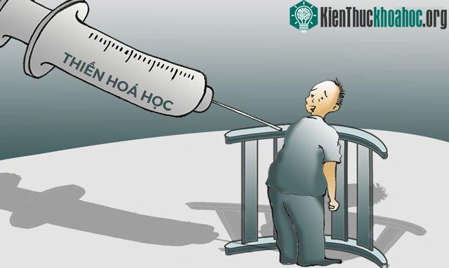Thiến hóa học được đề xuất là biện pháp trừng phạt thủ phạm xâm hại tình dục trẻ em.