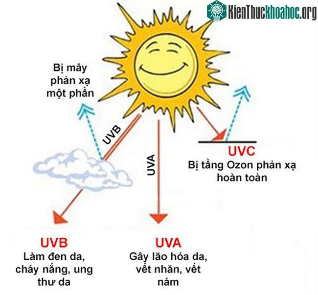 Phân loại tia uv