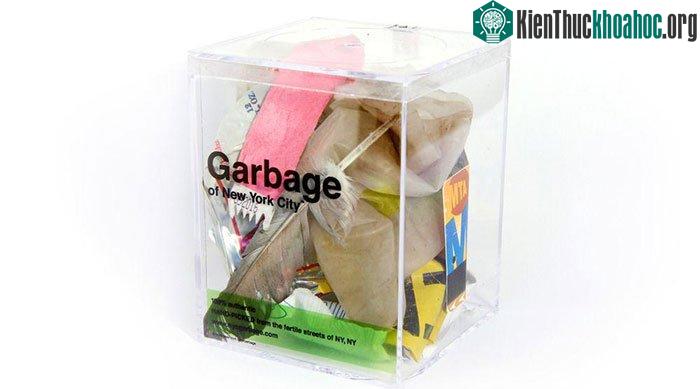 Rác được bán&nbsp;với giá 100 đô la (hơn 2 triệu đồng)