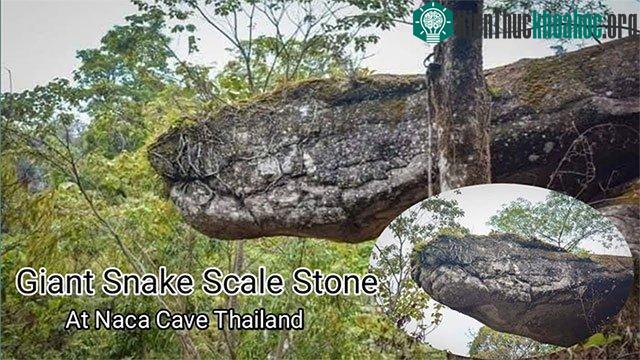 Phía cửa hang còn có hình dáng giống đầu rắn.