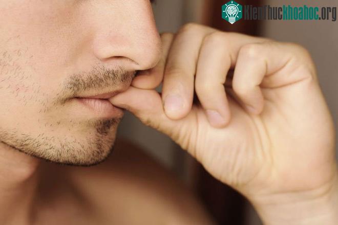 Có đến 20% dân số thường xuyên làm điều này.