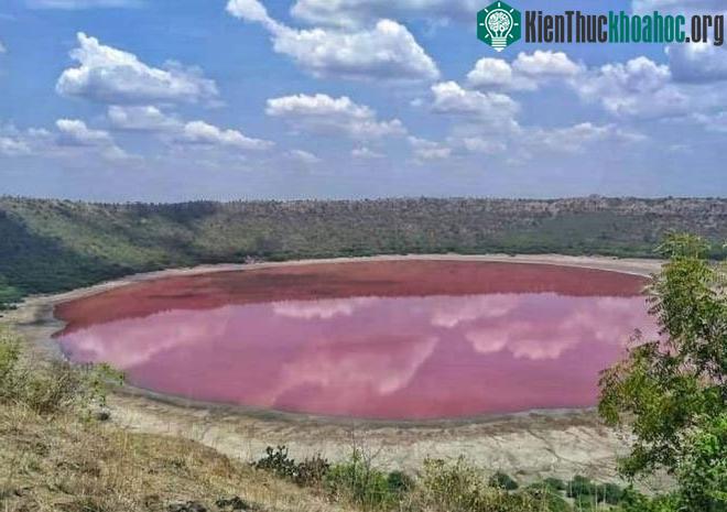 Hồ Lonar ở Ấn Độ chuyển sang màu hồng.
