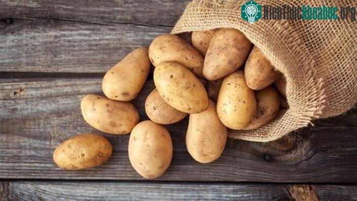 Khoai tây là một trong những cây lương thực chính của thế giới.