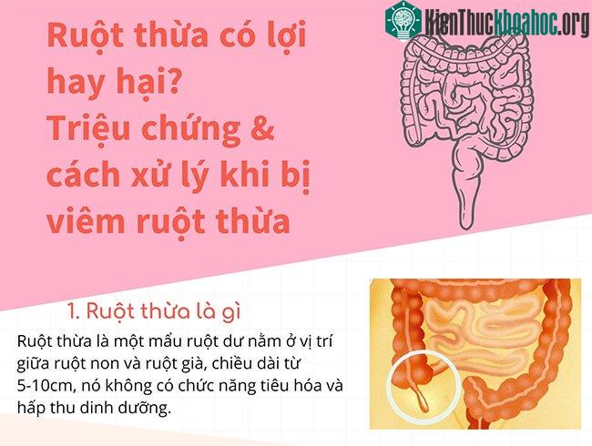Ruột thừa có lợi hay hại? Triệu chứng và cách xử lý khi bị viêm ruột thừa