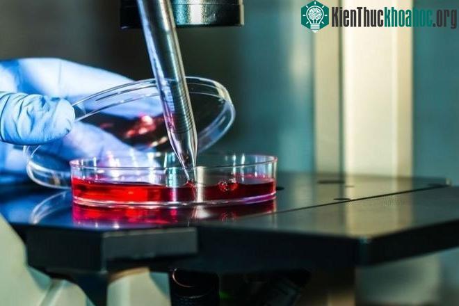 Loại da này có hệ thống cảm biến gồm các vật liệu với kích cỡ chỉ nhỏ bằng nanomet.