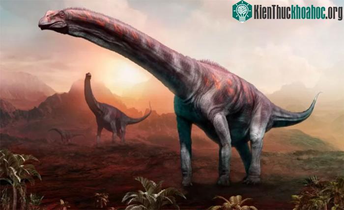 Hình ảnh mô tả Argentinosaurus.