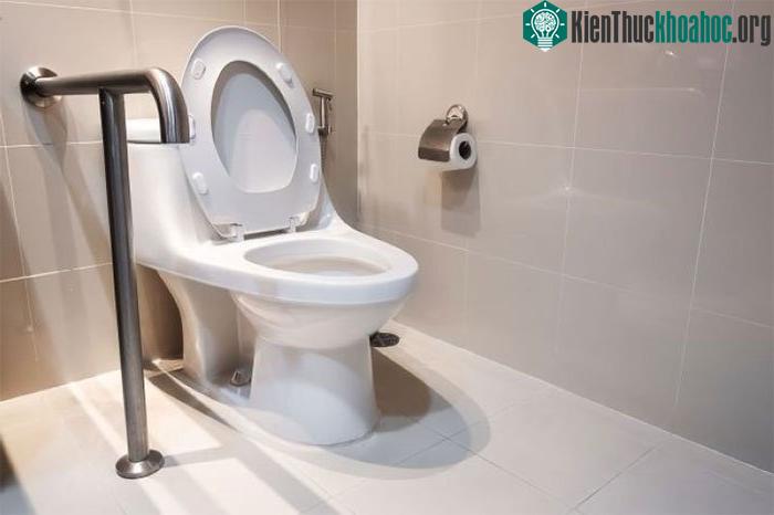 Bệnh Legionnaires được lây lan do hít phải các hạt khí vốn là nước ô nhiễm trong quá trình xả bồn cầu.