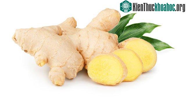Gừng có rất nhiều công dụng trong việc chữa bệnh.