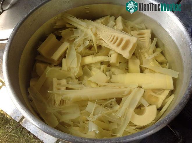 Măng
