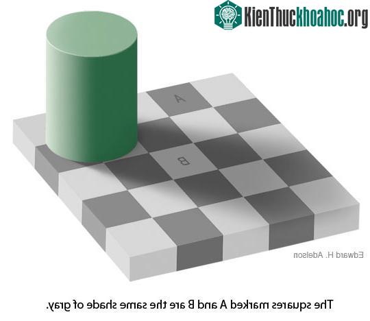 Ảo ảnh bàn cờ