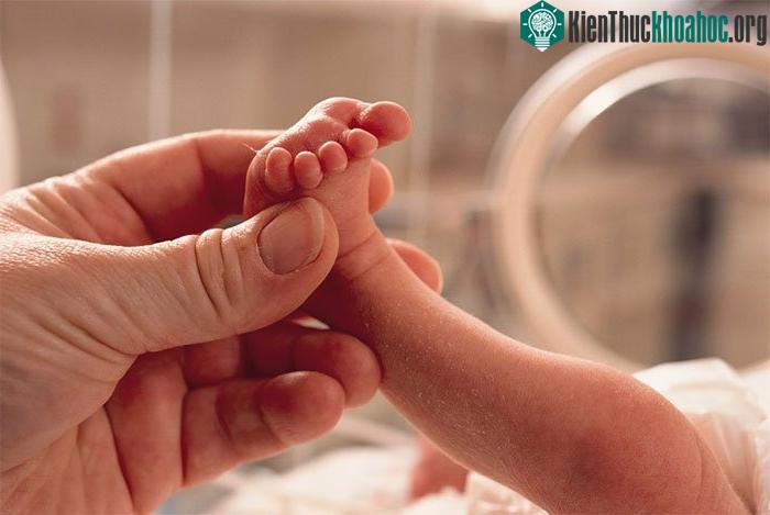 Những người vô sinh hay hiếm muộn có thể trông cậy vào công nghệ này.