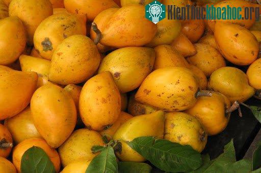 Xanthophyll và vitamin C trong quả trứng gà tốt cho mắt.
