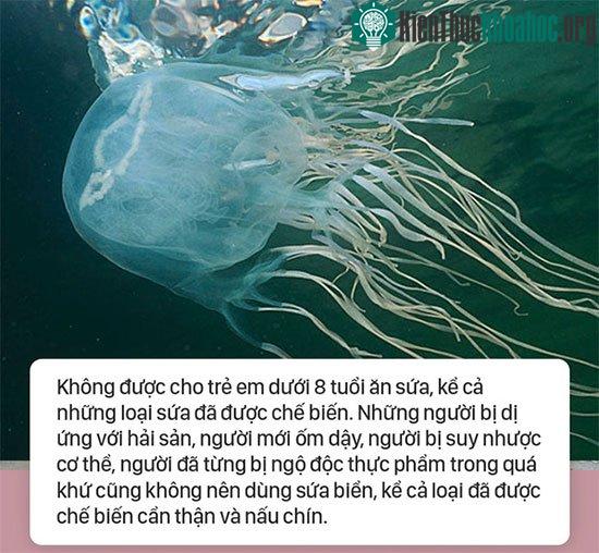 Những người không nên ăn sứa