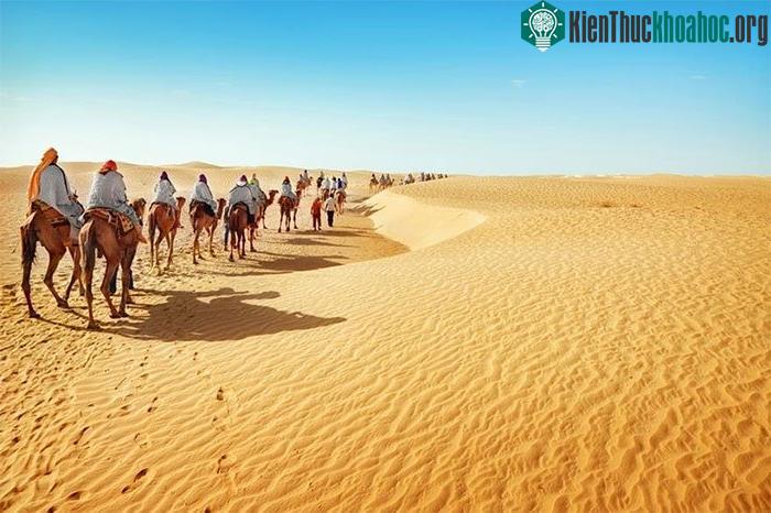 Nắng nóng thế này nhưng ai ngờ chỉ cần về đêm là Sahara trở nên vô cùng lạnh giá.