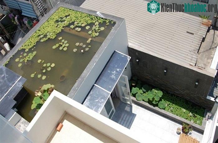 Xây hồ nước trên mái nhà để giảm nhiệt độ do mặt trời mang lại