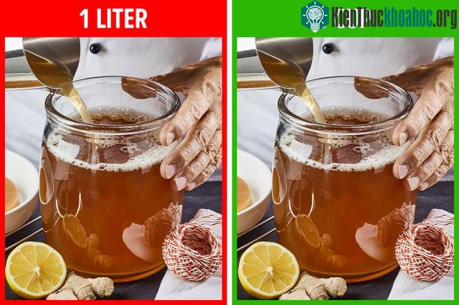 Trà Kombucha