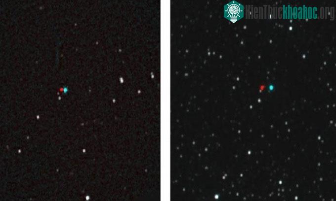 Ảnh chụp&nbsp;Proxima Centauri (trái) và Wolf 359 (phải) của tàu New Horizon.