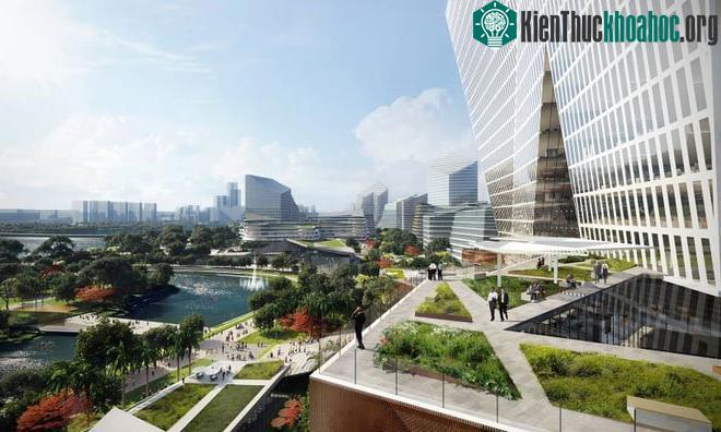 Các nhà thiết kế cố gắng loại bỏ ô tô khỏi cuộc sống tại Net City.