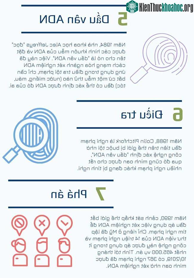 ADN và gene ở trong di truyền học ảnh 1