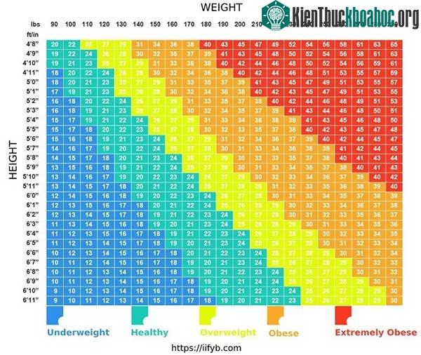 Bảng chỉ số BMI.
