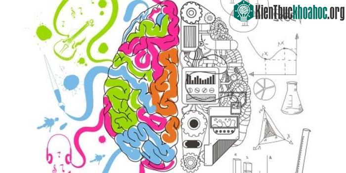 Bản thân tính tò mò sẽ giúp chúng ta khai phá những thứ gây tò mò.