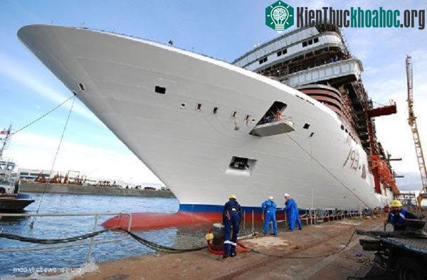 Màu đỏ có độ tương phản cao với màu nước biển