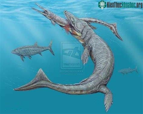 Dakosaurus.