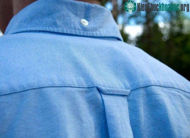 Tại sao có một cái vòng ở mặt sau của áo?