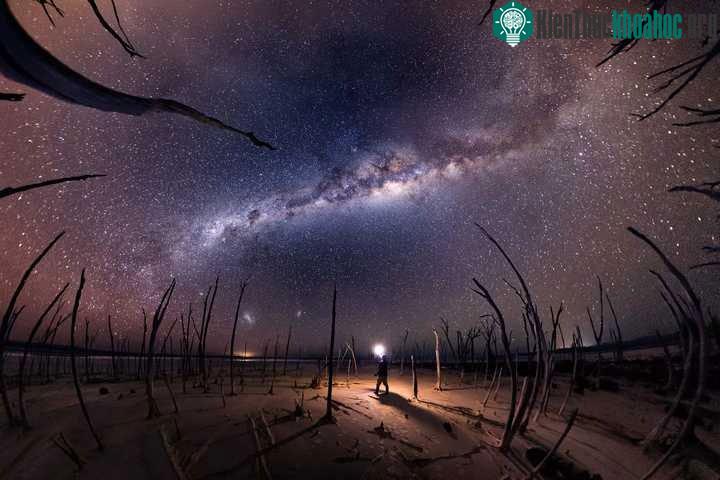 Nightmare – Tác giả Michael Goh