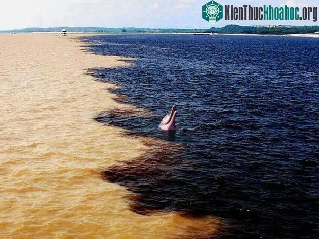 19 hình ảnh giải mã những điều bí ẩn trên thế giới ảnh 16