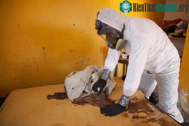 Máu tại hiện trường phải mất nhiều thời gian cọ rửa.