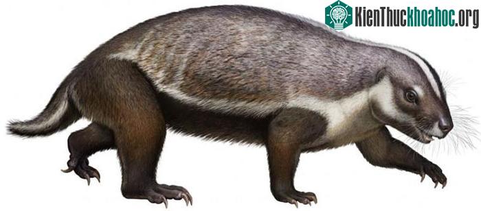 Hình ảnh mô phỏng về Adalatherium.