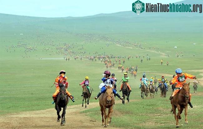 Những kỷ lục trong thế giới loài ngựa ảnh 2