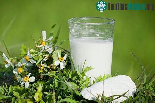 Thành phần của bột sắn dây có tác dụng kích thích sản sinh ra estrogen (nội tiết tố nữ).