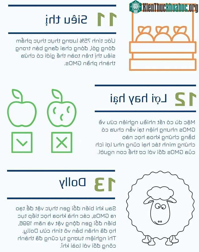 ADN và gene ở trong di truyền học ảnh 2