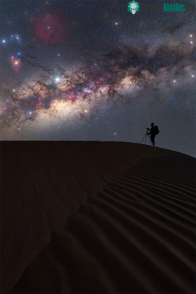 Alone _ Together in the Stardust – Tác giả Marco Carotenuto.