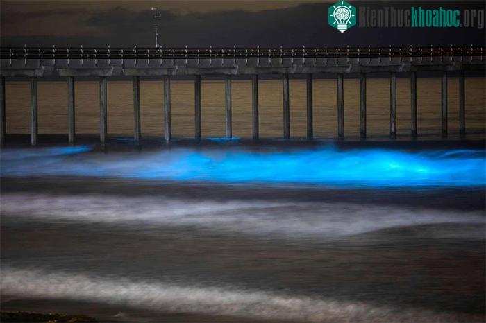 Cảnh tượng này thu hút sự chú ý của người dân địa phương ở miền Nam California.
