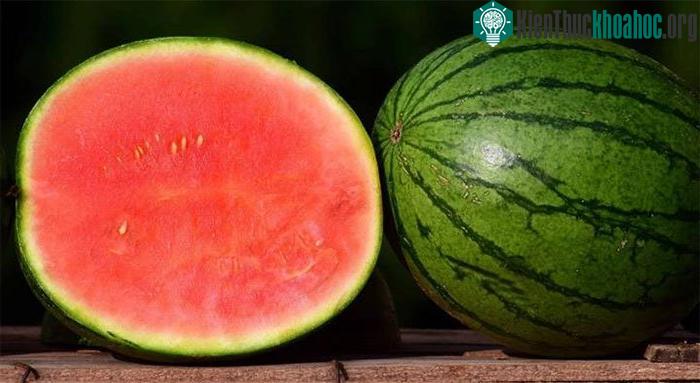 Dưa hấu không hạt được sản xuất thông qua quy trình này với sự trợ giúp của cây tam bội.