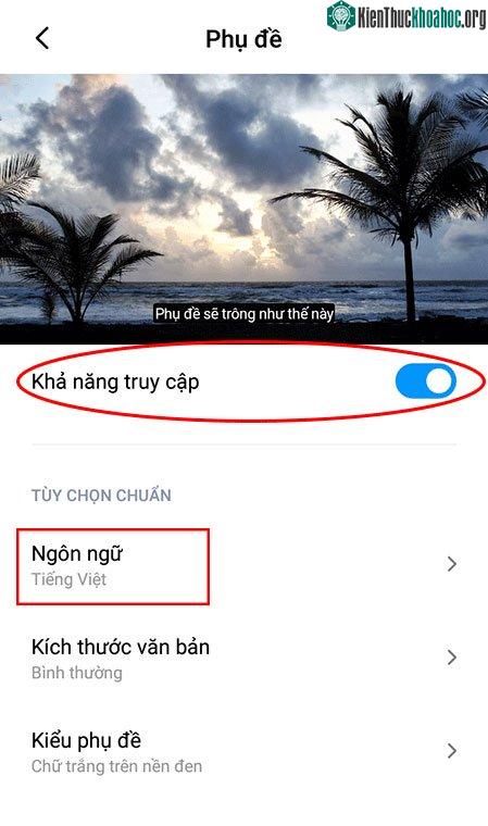 Ở phần thiết lập phụ đề, ta chuyển nút&nbsp;Khả năng truy cập&nbsp;sang vị trí On để bật tính năng tạo phụ đề tự động.
