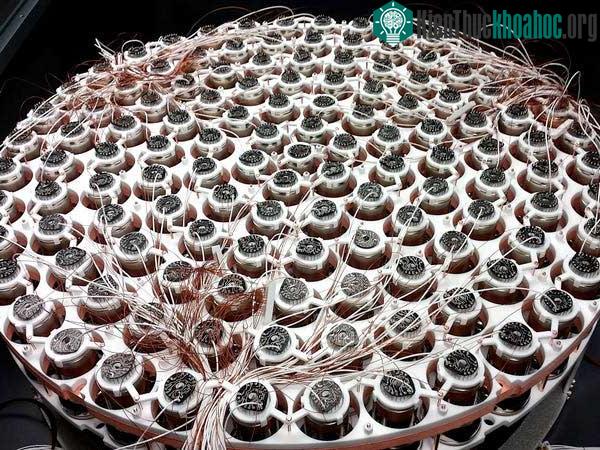 Các ống kích quang (photomultiplier) được sử dụng để phát hiện các tia sáng phát ra từ thí nghiệm Xenon1T.