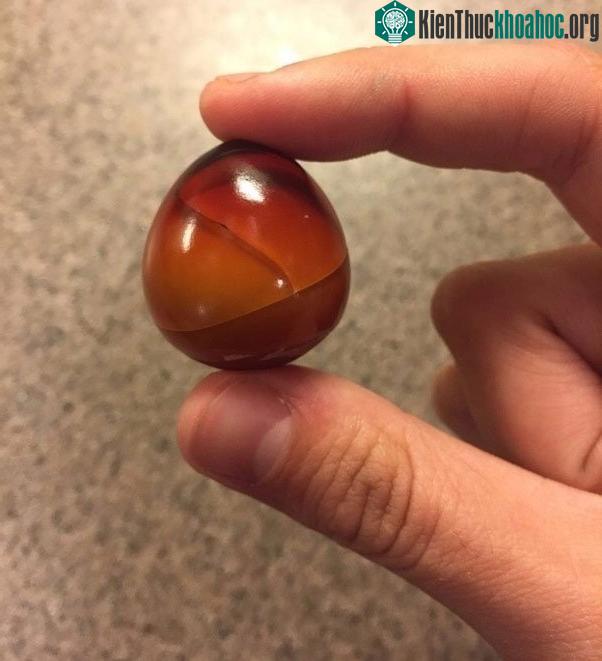 Đây là một quả trứng luộc sau khi đặt trong tủ lạnh 1 năm trời. Kỳ lạ quá phải không?